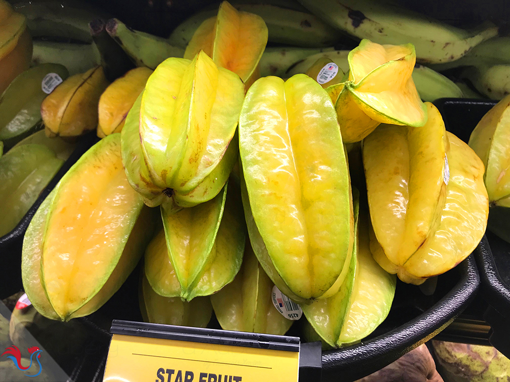 L’Entremets Exotique (Mangue, Passion, Noix de Coco)