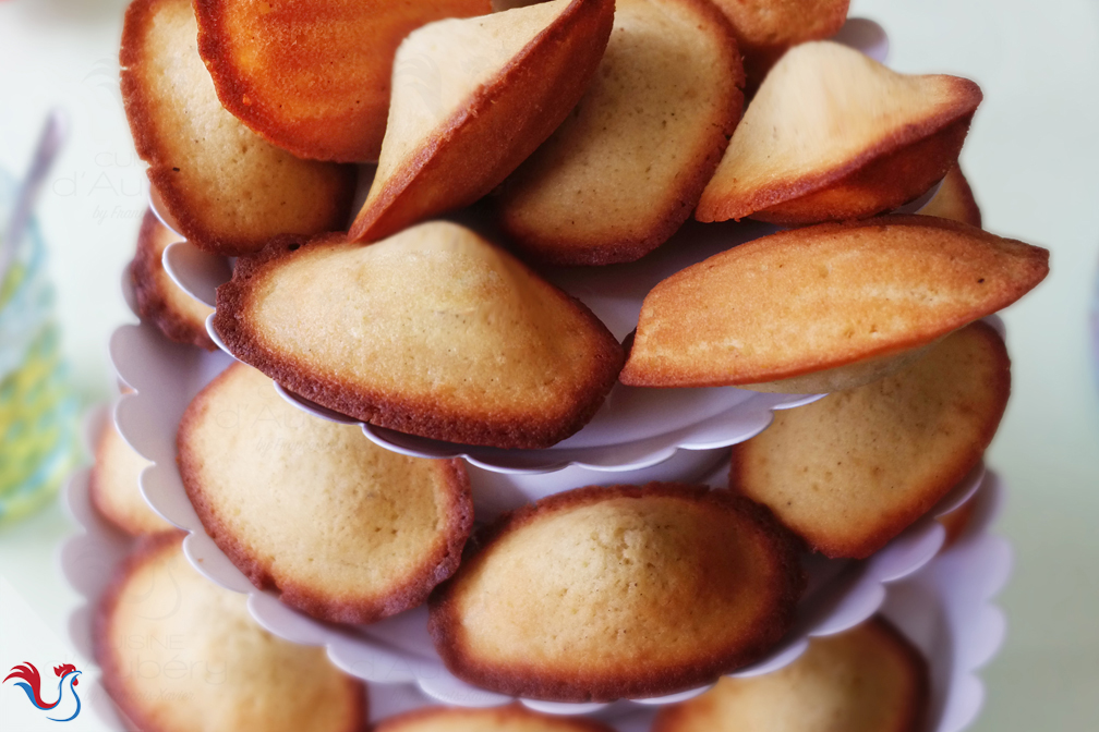 Les Madeleines Vanille de Lenôtre