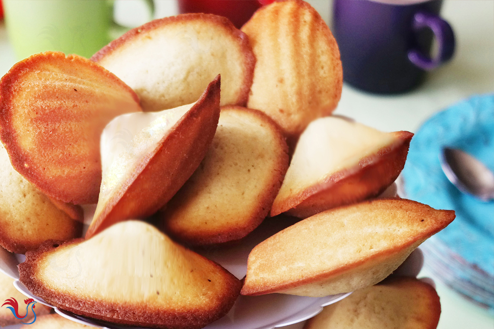 Les Madeleines Vanille de Lenôtre