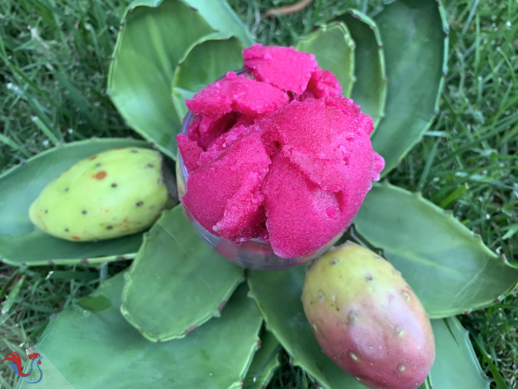 Le Sorbet au Cactus comme à Eagle Rock