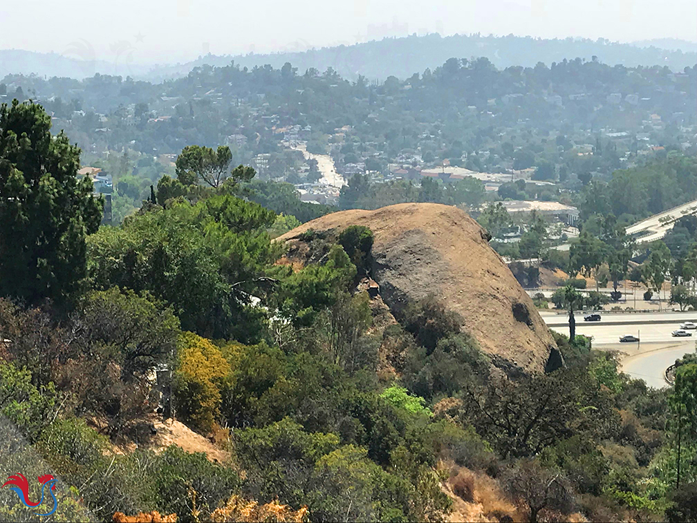 Le Sorbet au Cactus comme à Eagle Rock