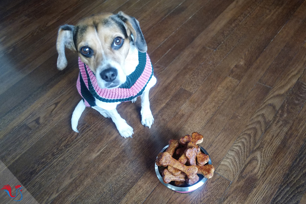 Les Biscuits pour Chien de Thomas Keller, 3 étoiles Michelin