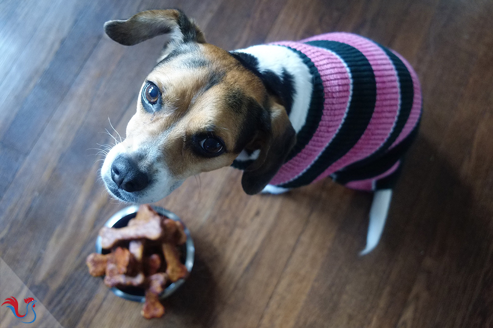 Les Biscuits pour Chien de Thomas Keller, 3 étoiles Michelin