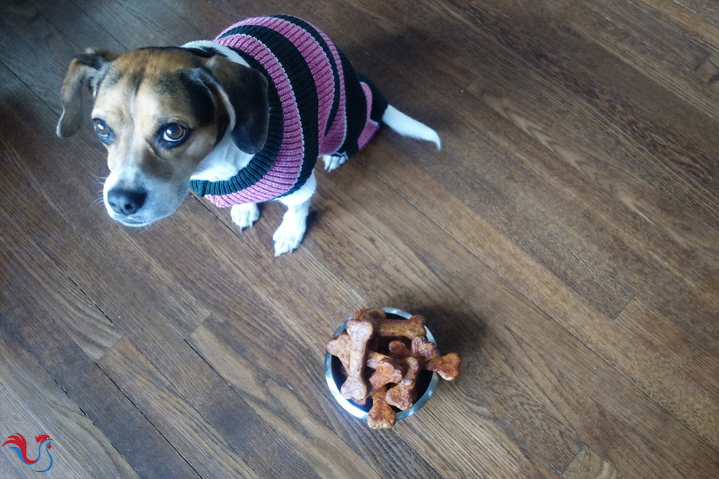 Les Biscuits pour Chien de Thomas Keller, 3 étoiles Michelin