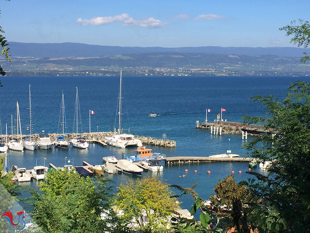 Les Tartelettes aux Fruits Rouges (comme sur les bords du lac Léman)