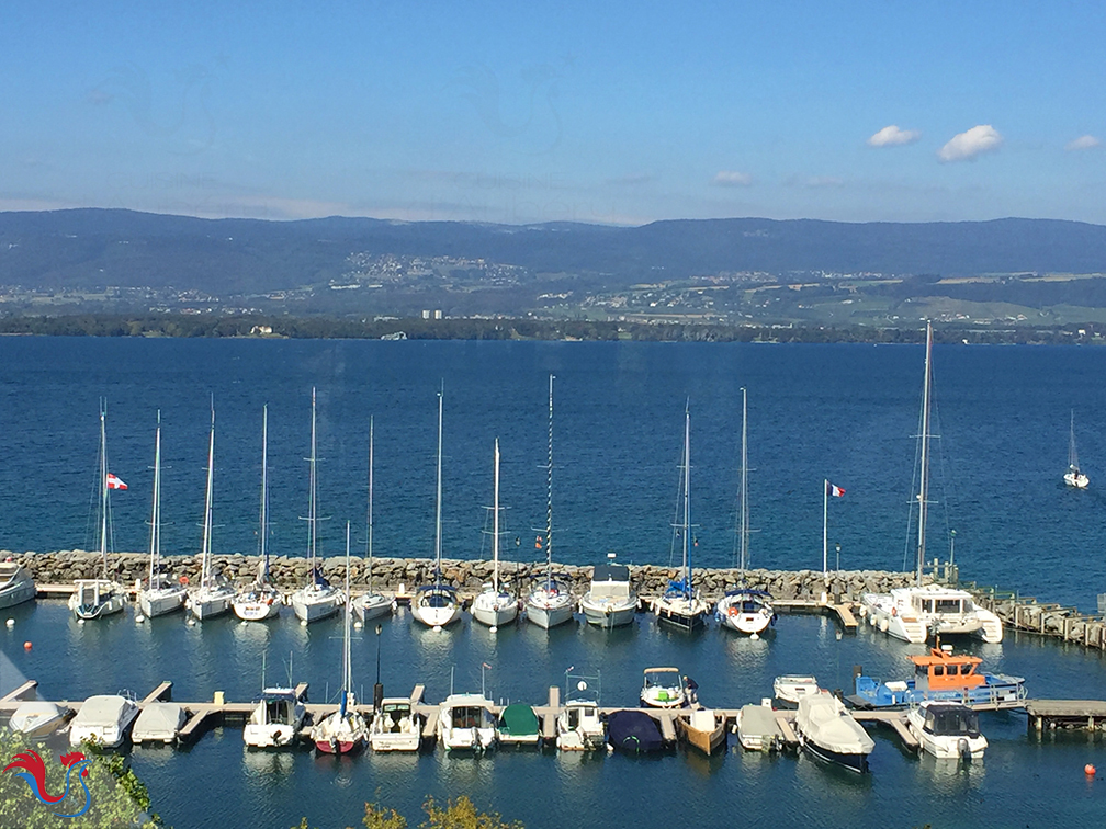 Les Tartelettes aux Fruits Rouges (comme sur les bords du lac Léman)