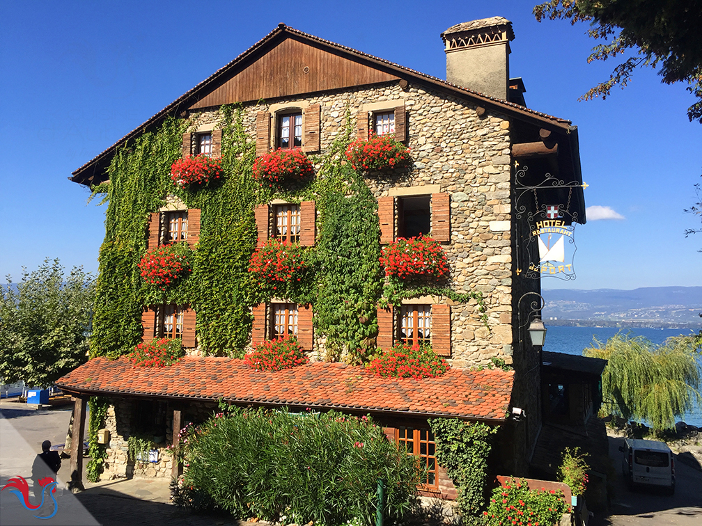 Les Tartelettes aux Fruits Rouges (comme sur les bords du lac Léman)