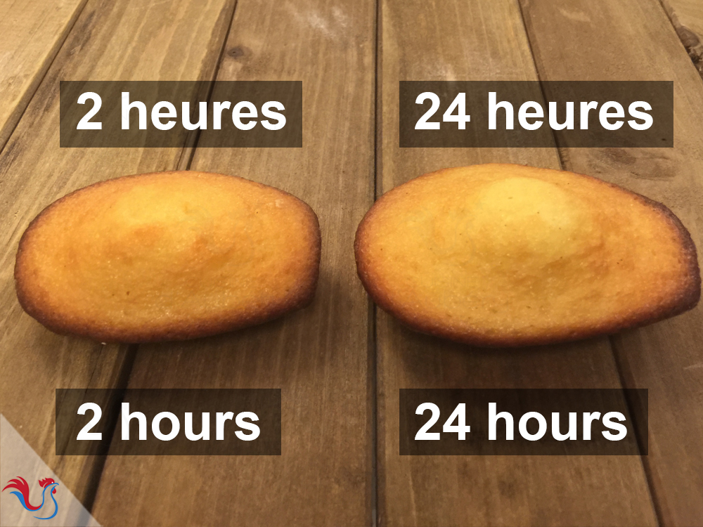 Madeleines ratées : (sans bosse, plates, en forme de dome, etc…) Pourquoi ? Réussir les madeleines