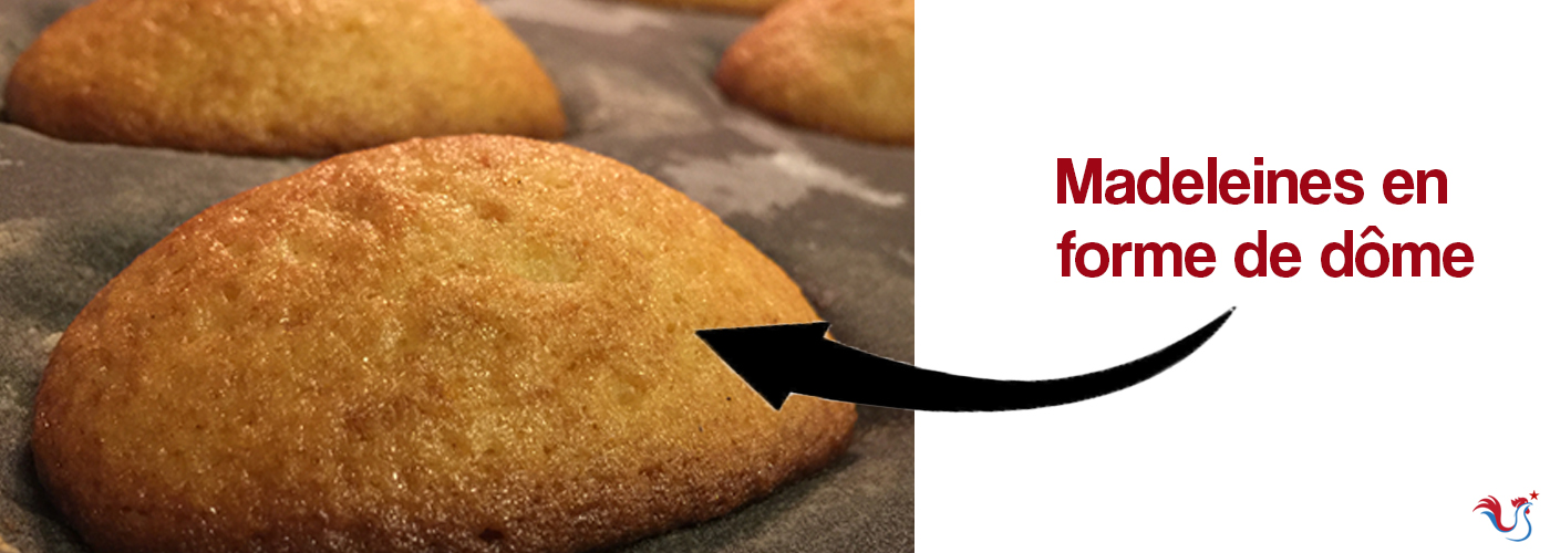 Madeleines ratées : (sans bosse, plates, en forme de dome, etc…) Pourquoi ? Réussir les madeleines