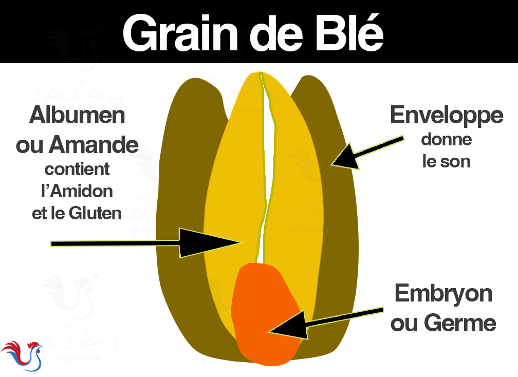 Les Types de Farine : Quelle farine pour quel usage ?