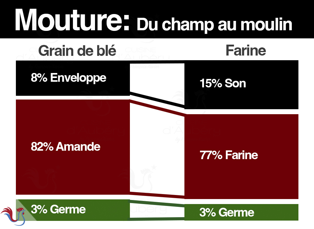 Les Types de Farine : Quelle farine pour quel usage ?
