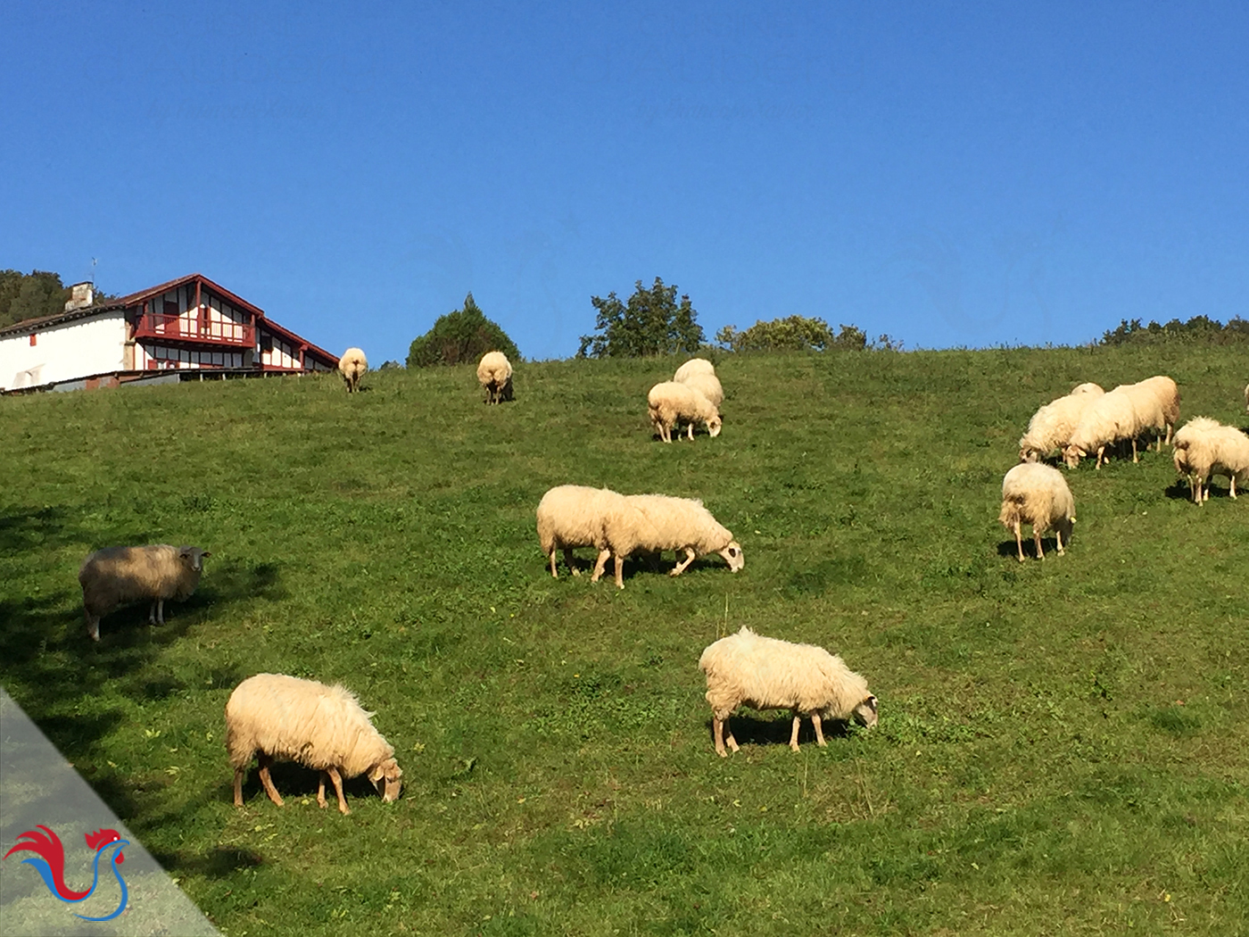 Cours de Cuisine : Le Musée du Gâteau Basque de Sare