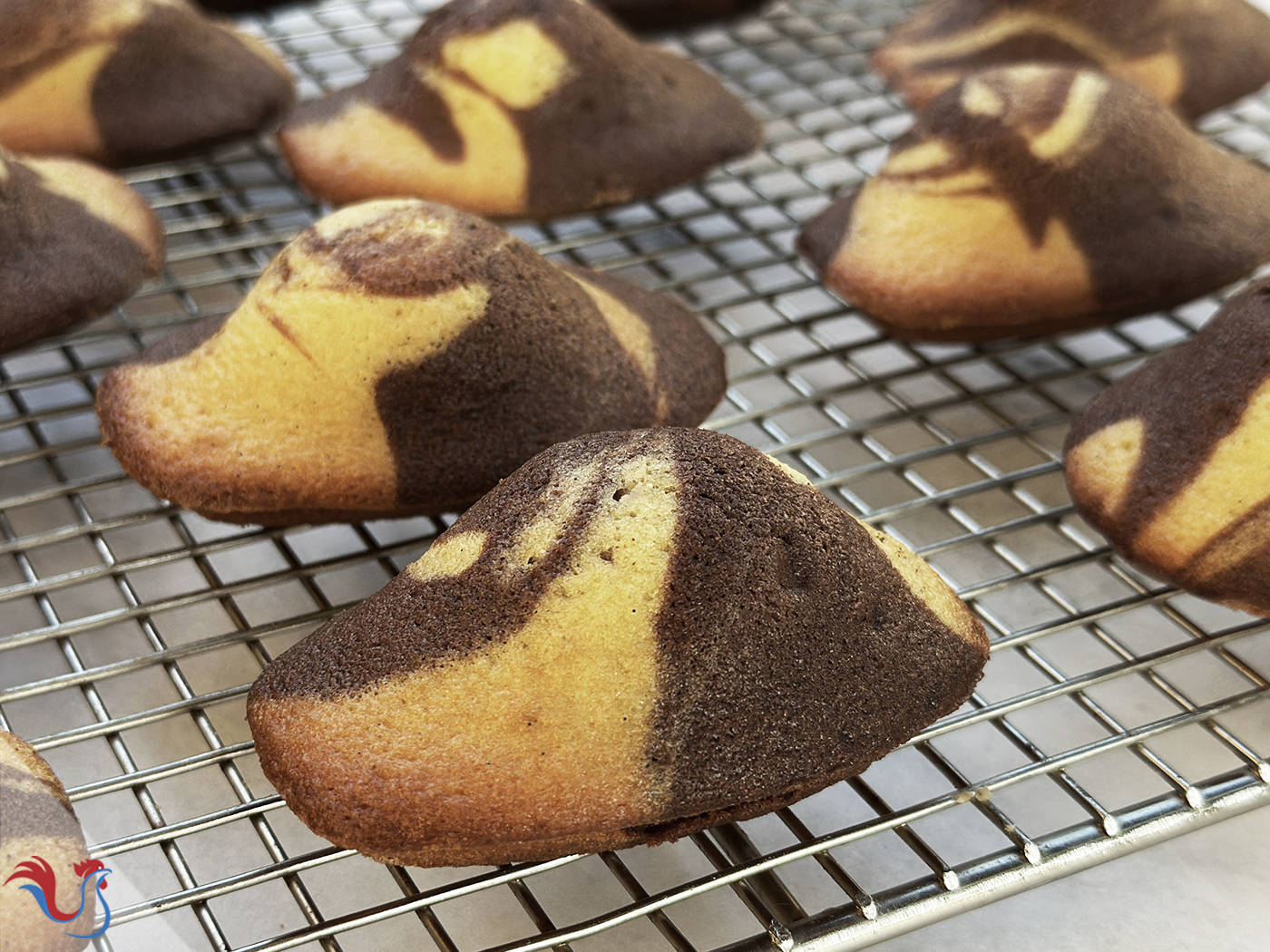 Les Madeleines Marbrées