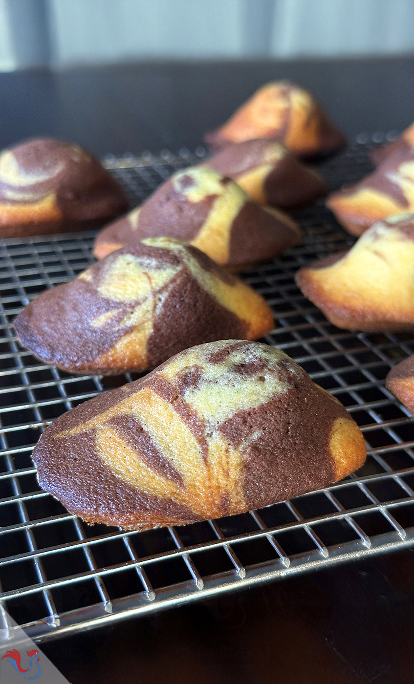 Les Madeleines Marbrées