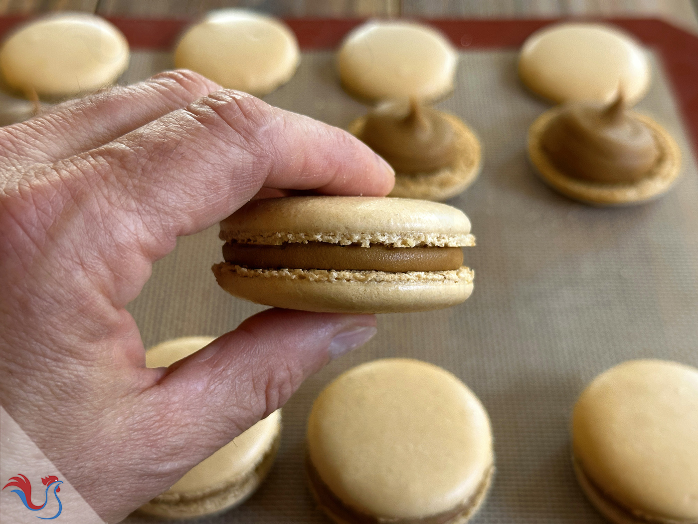 Les Macarons Café de Pierre Hermé