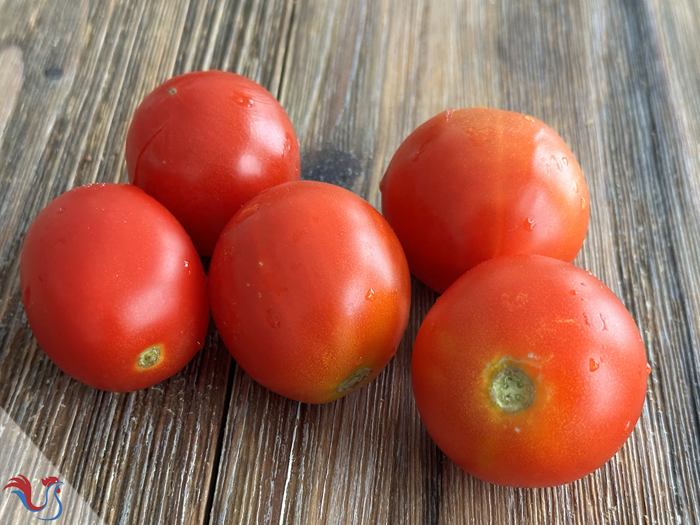 Le Pan con tomate de Catalogne, du chef José Andrés