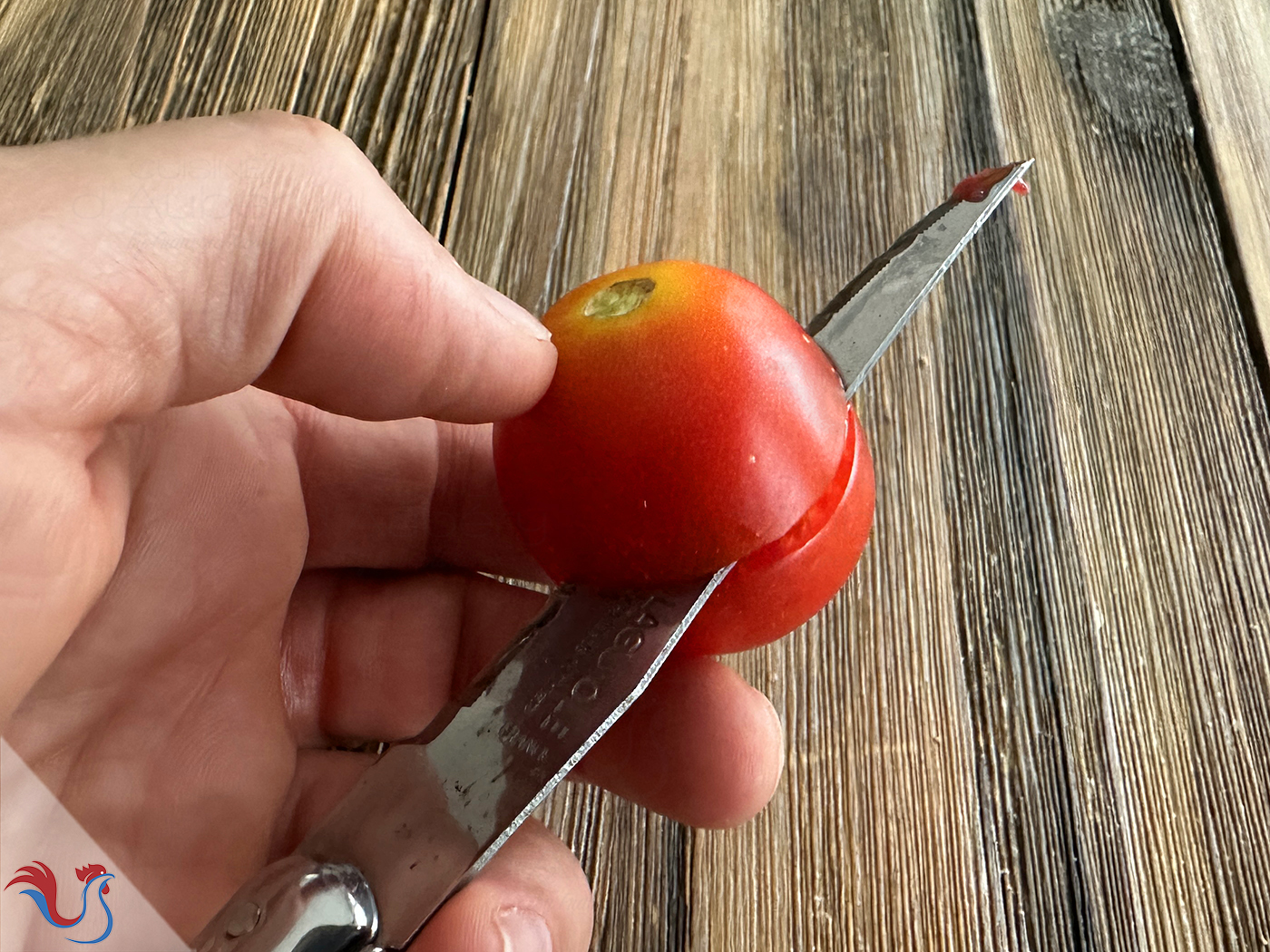 Le Pan con tomate de Catalogne, du chef José Andrés
