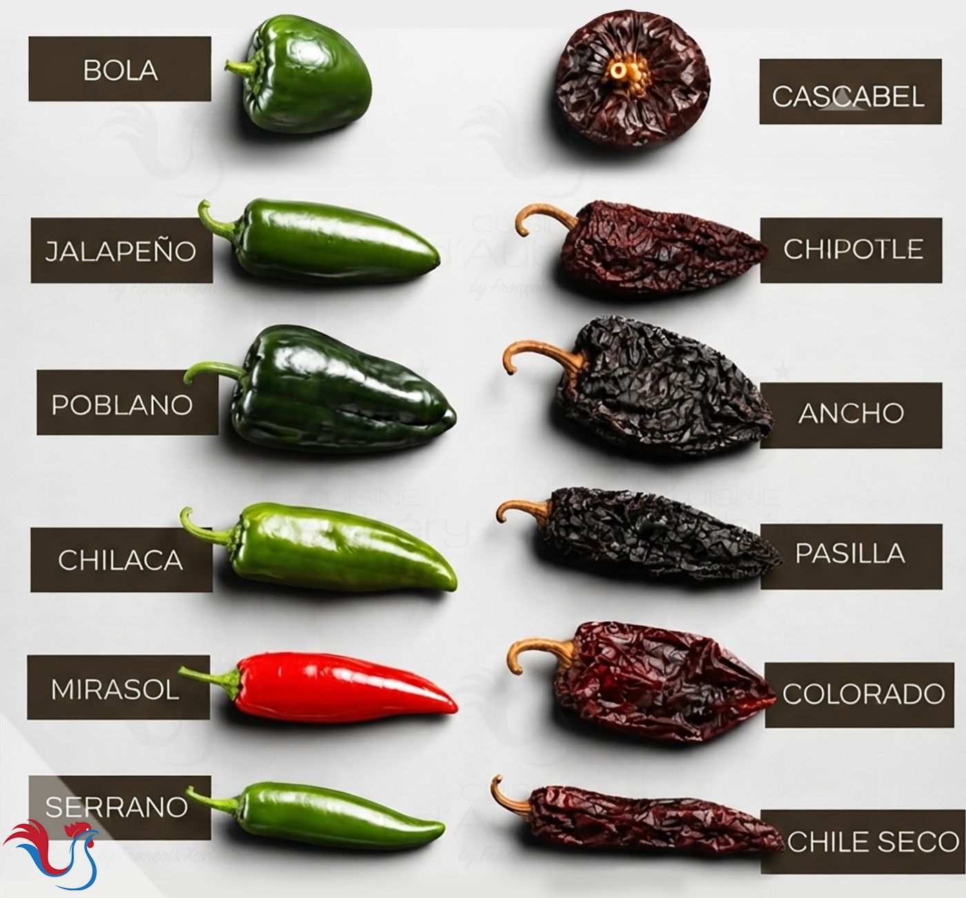 Les Piments du Mexique et d’Amérique du Sud (los chiles)