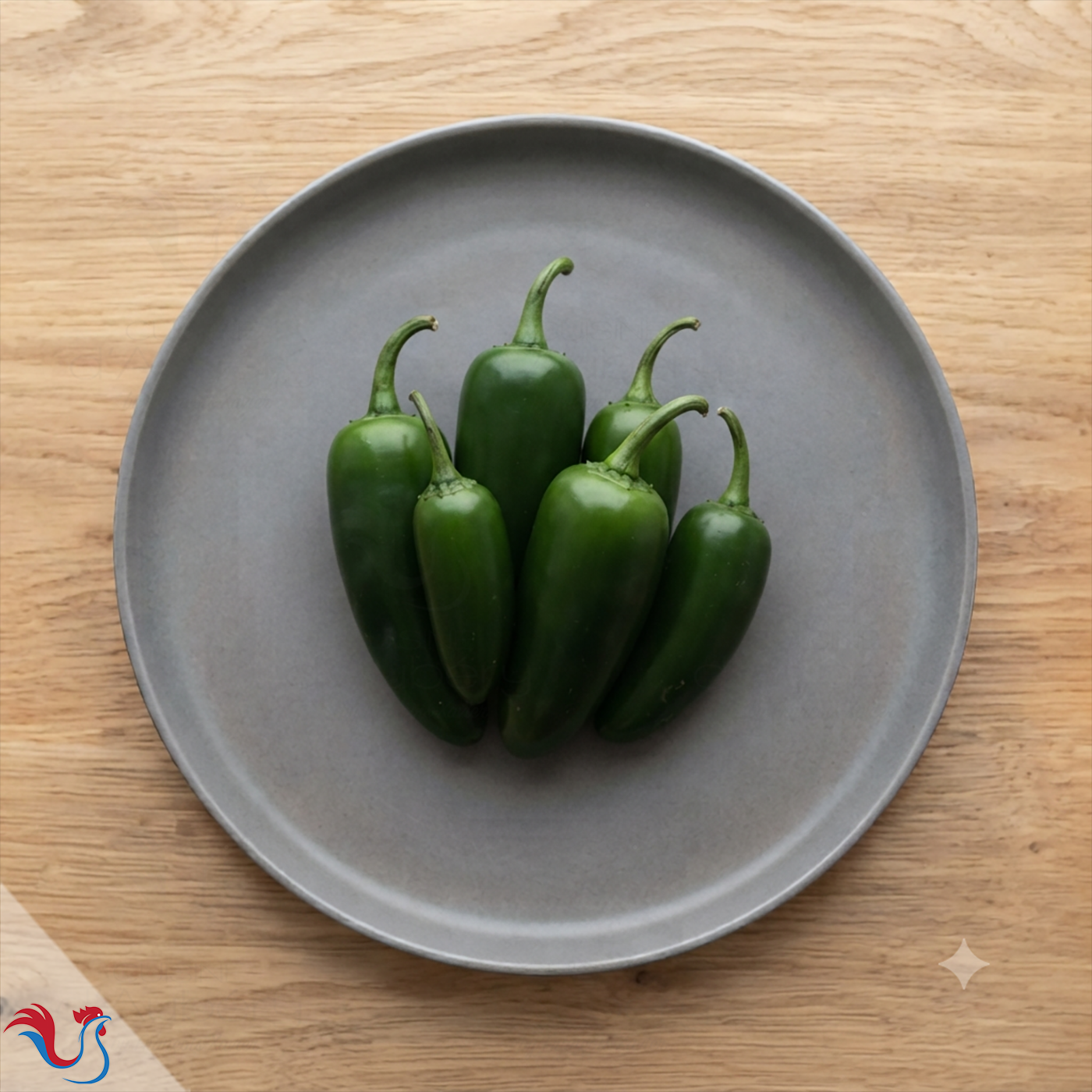 Les Piments du Mexique et d’Amérique du Sud (los chiles)
