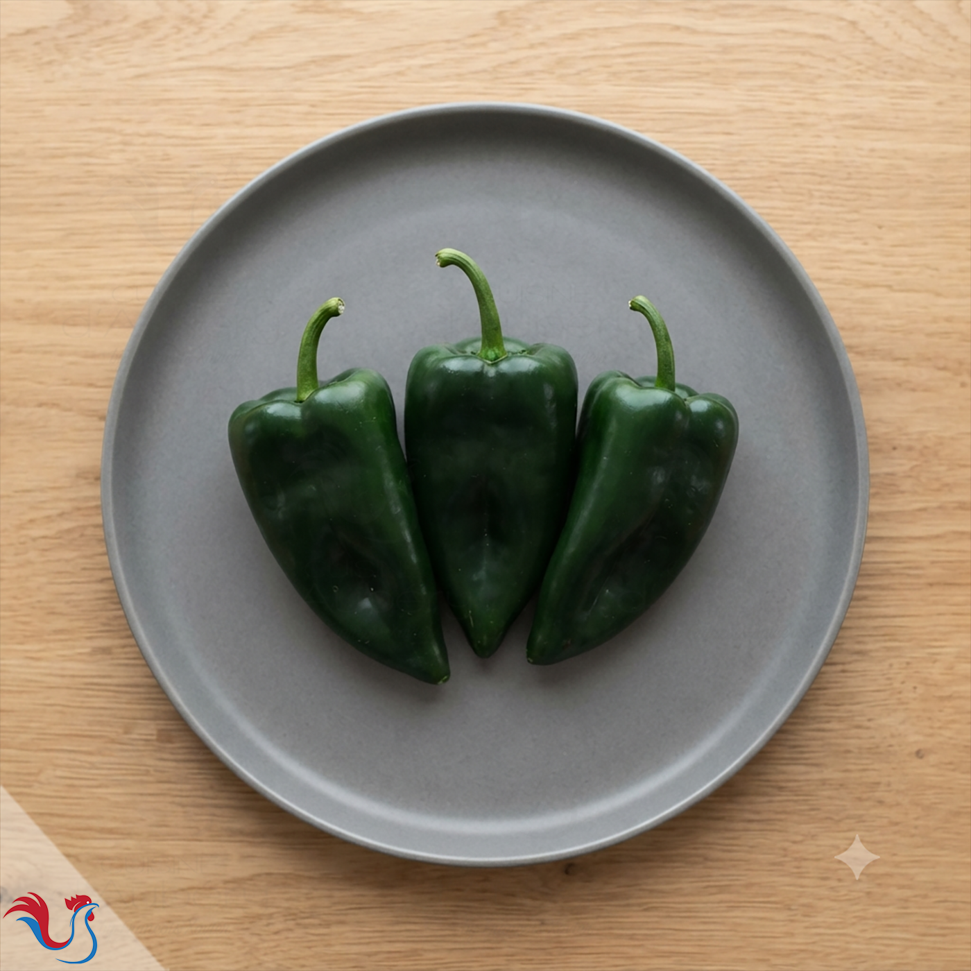 Les Piments du Mexique et d’Amérique du Sud (los chiles)